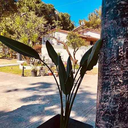 Apartman Poplar Lofts & Karavouzi Prínosz