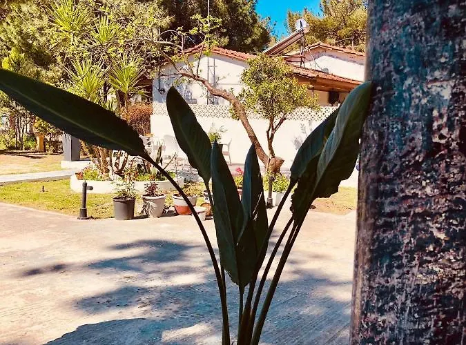 公寓 Poplar Lofts & Karavouzi Prínos