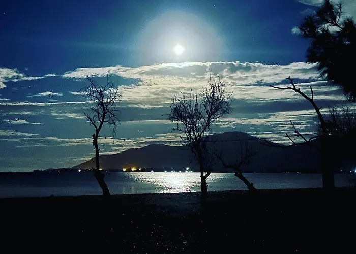 Poplar Lofts & Karavouzi