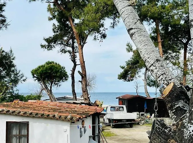 Poplar Lofts & Karavouzi