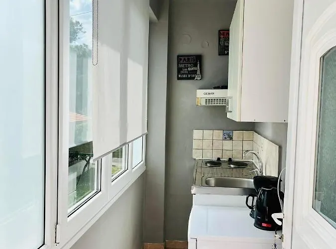 公寓 Poplar Lofts & Karavouzi *